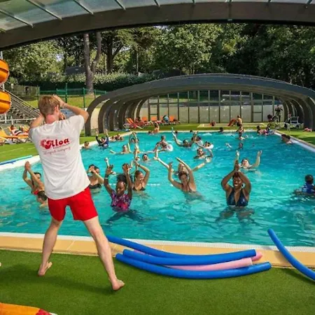 Zecamping Chiens Acceptes Espace Aquatique Et Bar *
