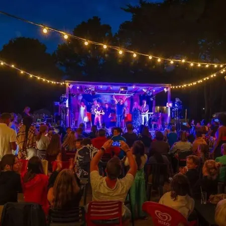 Campingplads Zecamping Chiens Acceptes Espace Aquatique Et Bar