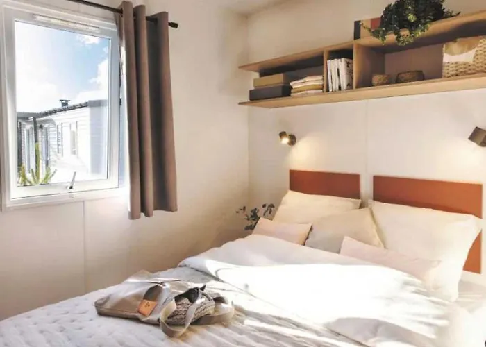 Camping Zecamping Chiens Acceptes Espace Aquatique Et Bar